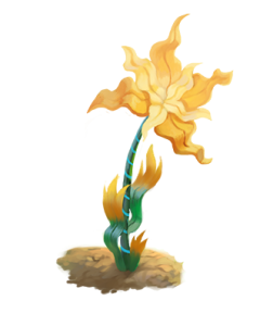 Growingwild Pitchdeck Blume 03