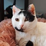 Whatsapp Image 2025 10 27 At 10.59.07